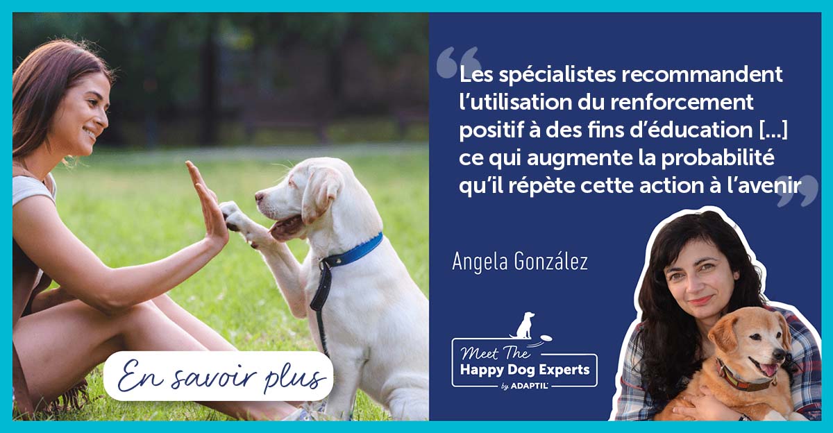 Qu’est-ce que l’éducation canine par le renforcement positif ?