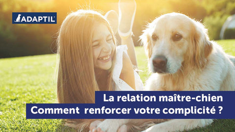 La relation maître-chien : comment renforcer votre complicité