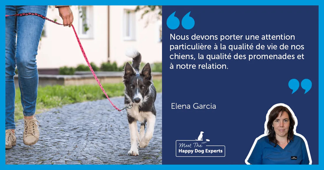 Comment promener son chien efficacement