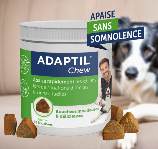 Bouchées anti-stress pour chiens ADAPTIL Chew